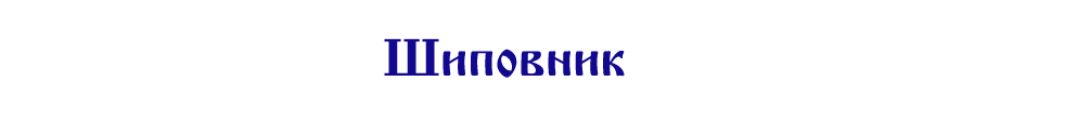Шиповник сушеный (плоды шиповника) купить оптом у производителя в Москве фасованный весом и в мешках